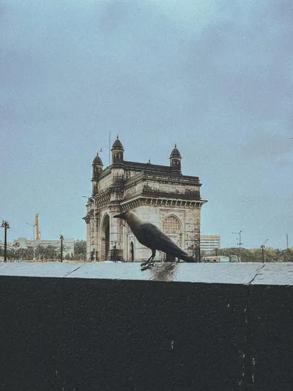 A crow perches on the wall in front of the Gateway of India on a cloudy day. Even the wildlife seems to be taking in the view.