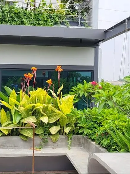 This is a duplicate of image 28. Bright orange canna lilies add a tropical flair to the F Gear terrace garden. We carefully select plants that not only look good together but also have similar care requirements for a sustainable landscape design.