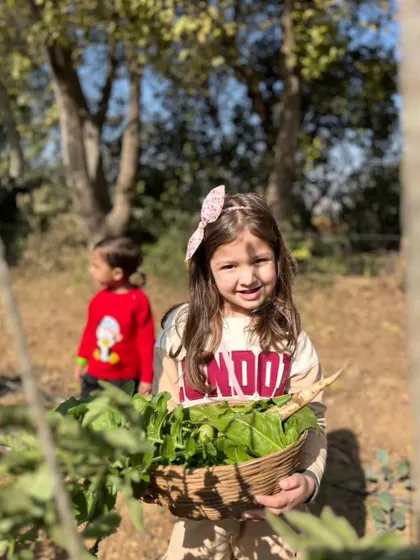 A smiling girl with a big bow in her hair, holding a basket full of freshly harvested spinach.
