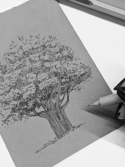 A process shot of the tree illustration, showing my hand and the micron pen adding fine lines to the bark.