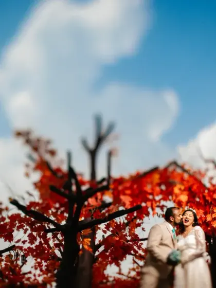 A wide shot capturing a candid laugh, using a tilt-shift lens to create a dreamy, miniature effect. The focus is entirely on their shared moment, surrounded by a beautiful blur of color.