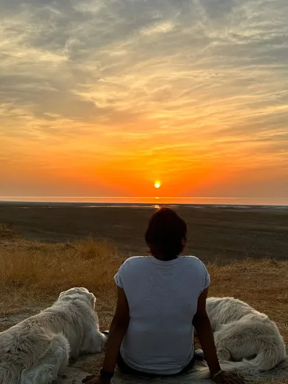 One of the most important skills I teach is how to do nothing. Here, my dogs relax with me while we watch the sunset. A dog that knows how to settle and be calm is a dog that can handle any situation, whether at home or on the road.