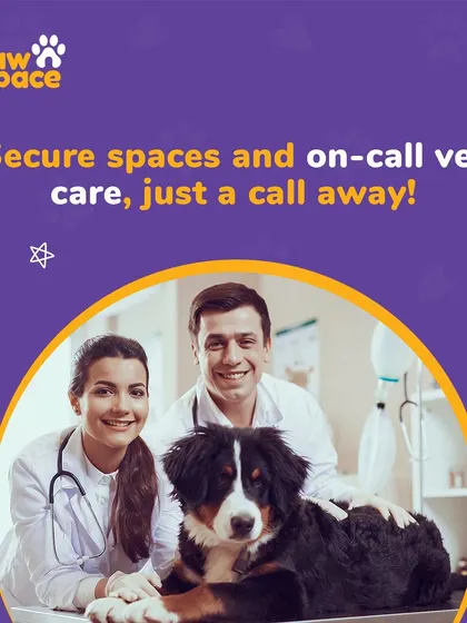 Your pet's health and safety are paramount. We provide secure, pet-proofed spaces and have on-call vet care available for any situation that may arise.