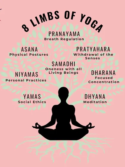 Yoga is a holistic system with eight components, known as the 8 Limbs of Yoga. This tree graphic illustrates how Asana (postures) is just one part of a much deeper practice that includes ethics, breathwork, and meditation.