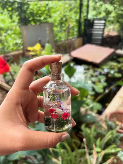 A beautifully crafted herbarium jar held against the backdrop of our office garden, symbolizing our connection to nature.
