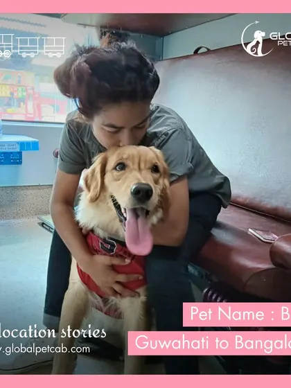 Blue, a happy Golden Retriever, gets a hug during his train trip from Guwahati to Bangalore. The emotional well-being of your pet is just as important as their physical safety to us.