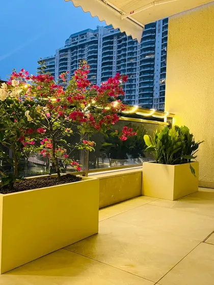 Evening ambiance on the DLF Camellias balcony. We integrated subtle mood lighting along the railing and within the planters to make the space just as inviting after sunset, highlighting the vibrant colors of the bougainvillea.