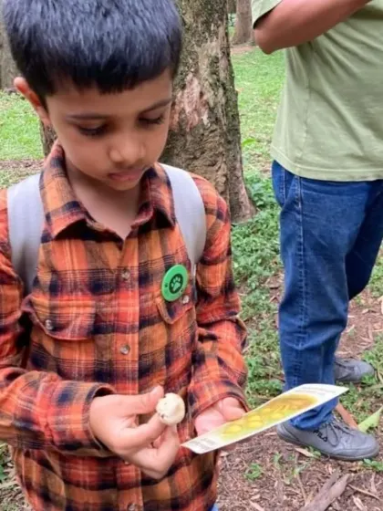 A young explorer carefully examines a mushroom he found, comparing it to his identification card. Our foraging walks are all about hands-on learning and building confidence in nature.