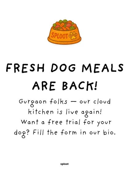Big news for Gurgaon folks. Our cloud kitchen is back, which means daily delivery of fresh dog meals is live again. We're excited to serve our local community once more.