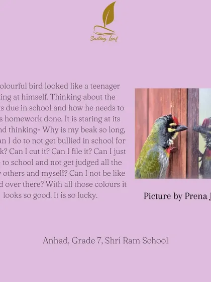A 12-year-old participant wrote this deeply empathetic piece after seeing a photo of a bird looking at its reflection. It shows a profound ability to connect with an image and explore complex themes of self-image and bullying.