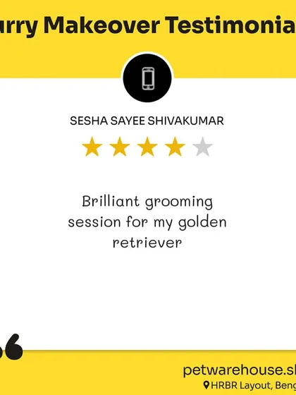 Sesha Sayee was happy with the "brilliant grooming session" for his Golden Retriever. We appreciate every piece of feedback from our valued customers.