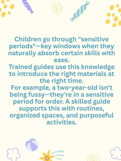 This graphic further explains 'Sensitive Periods,' showing how a trained guide uses this knowledge to support a child's natural inclination for order and learning.