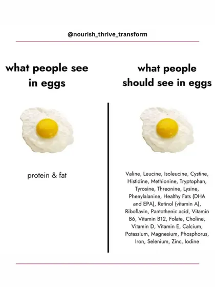 An egg is more than just protein and fat. This graphic reveals the incredible nutritional density of a single egg, which contains essential amino acids, vitamins like A, B12, and D, and minerals like iron and selenium. It's a true superfood.