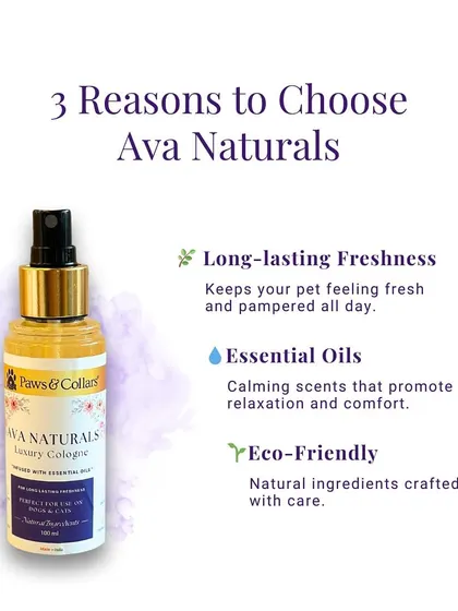 Here are three reasons to choose Ava Naturals cologne. It provides long-lasting freshness, contains calming essential oils, and is made with eco-friendly, natural ingredients.