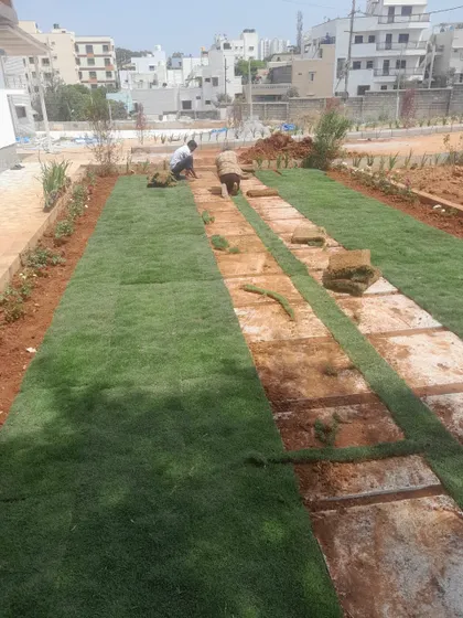 The process of laying sod. Rolls of fresh turf are being installed on prepared soil next to a stone pathway, transforming the bare ground into a green lawn.