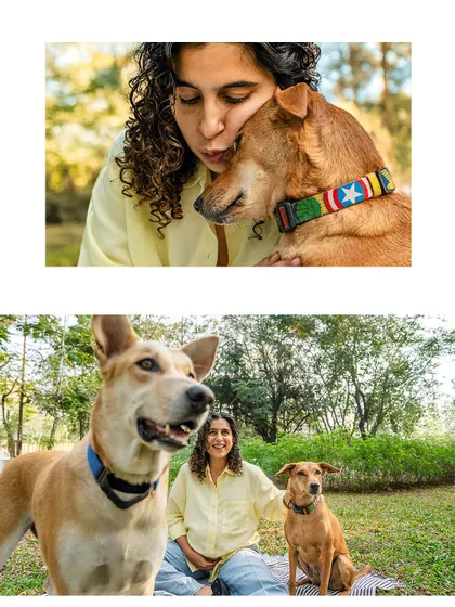 A two-panel image from an outdoor maternity shoot, showing tender moments between a woman and her two indie dogs in a park.