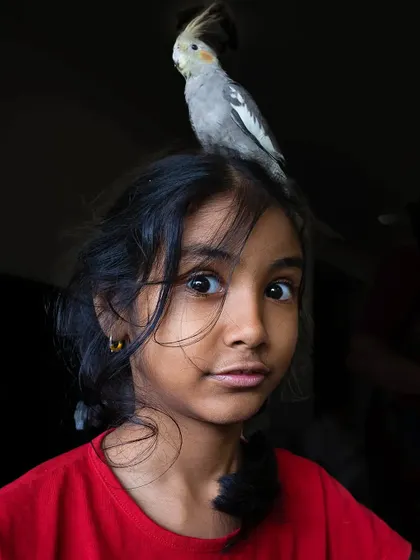 A funny, candid moment where the cockatiel decided the best perch was on top of his human's head. Her expression is priceless!