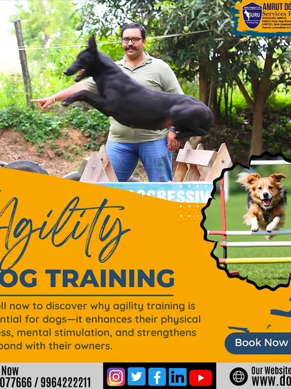 From jumping over hurdles to scaling walls, our agility training is designed to be engaging and challenging. It's an essential part of a holistic training program.