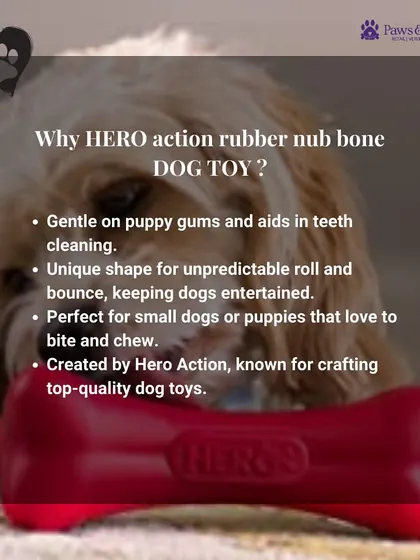 Why choose the HERO action rubber nub bone? This graphic explains that it's gentle on puppy gums, has an unpredictable bounce for entertainment, and is perfect for small dogs that love to chew.