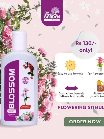Seeing no blooms in your garden? Our Blossom flowering stimulant can help. This easy-to-use, dual-action formula delivers fast results for all your flowering plants, encouraging beautiful blossoms.