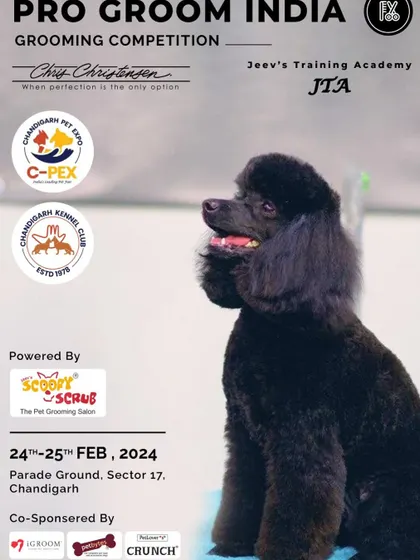 As a Judge and Master Groomer, I frequently participate in workshops like the Pro Groom India Knowledge Summit. Here, I shared the stage with international groomers to help train the next generation of professionals.
