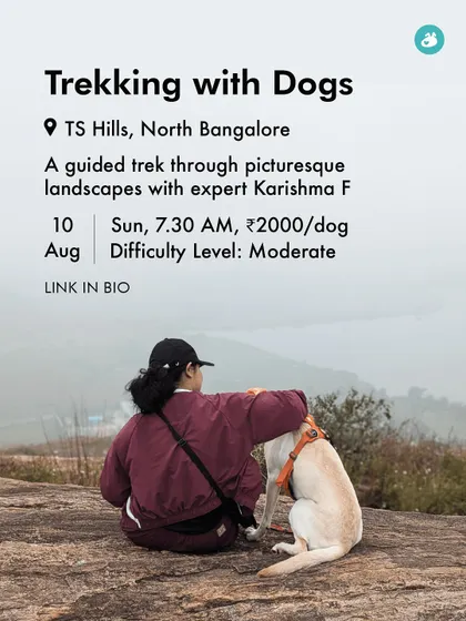 Here are the details for our guided trek at TS Hills. We provide all the necessary information, including location, timing, cost, and difficulty level, so you can join us prepared.