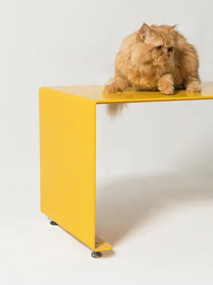 Our minimalist bench in a vibrant yellow, showcasing its simple, clean lines. Even our studio cat recognizes the quiet charm and subtle sophistication of a well-designed, functional object.
