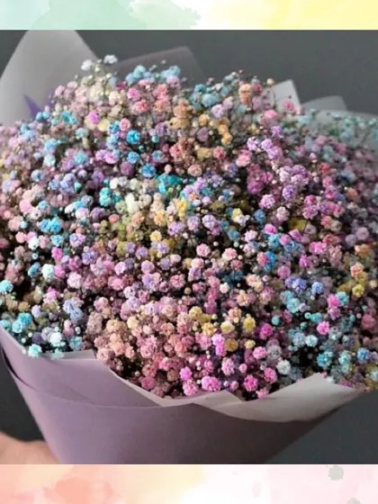 Our rainbow baby's breath bouquet is a unique and beautiful gift, perfect for adding a splash of color to Holi or any other celebration.