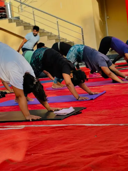 A focused group holds the downward dog pose, a fundamental asana for building strength and flexibility throughout the body.