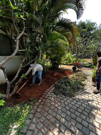 A work-in-progress shot from a landscape project in Alibaug. This shows the careful process of shaping the earth and preparing the ground for planting, a crucial step in creating the lush, natural environments that complement my architectural designs.