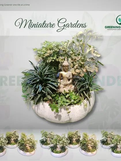 A large, intricate miniature garden in a pumpkin-shaped bowl, featuring a Buddha statue surrounded by a variety of lush green and white variegated plants.