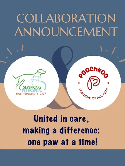 We are thrilled to announce our collaboration with Seven Oaks Pet Hospital. By partnering with experienced veterinarians, we can extend our network of care and ensure our community has access to comprehensive pet health services.