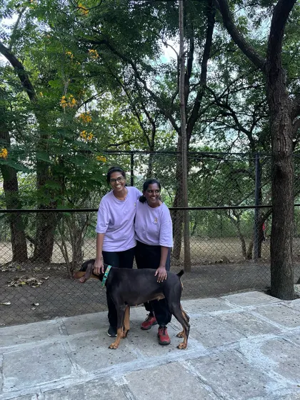 Working alongside experienced mentors and fellow interns with this handsome Doberman was an invaluable learning experience.
