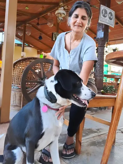 A guest poses with her calm and happy dog in the cafe. The dog is wearing an e-collar, a tool that, when used correctly in balanced training, helps give dogs more freedom and adventures.