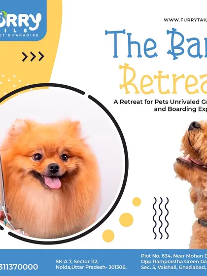 The Bark Retreat offers an unrivaled grooming and boarding experience. We focus on creating a relaxing and rejuvenating retreat for your pet.