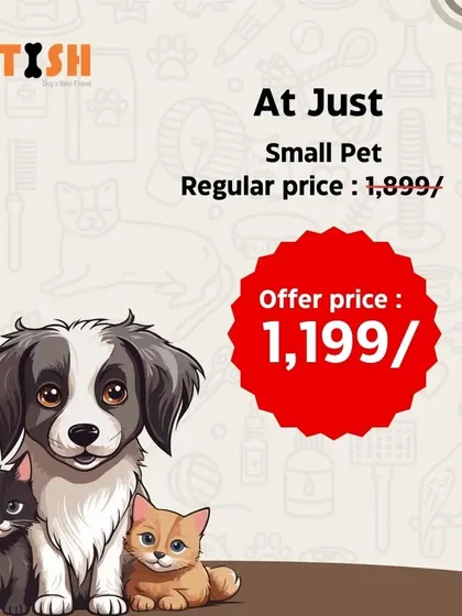 Great value for small pets! My offer price of ₹1,199 is a fantastic deal for a regular grooming session.