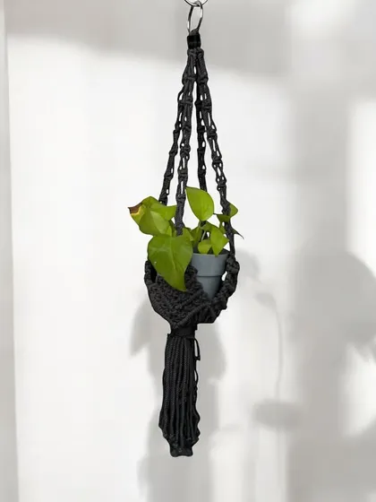 A simple and modern black plant hanger. It's a sleek and stylish way to display your favorite plants.