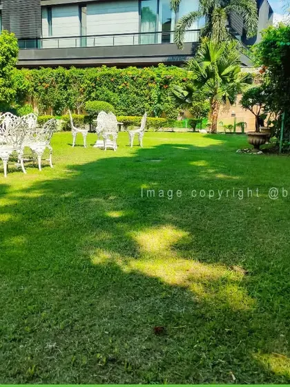 A full view of a large garden project, showcasing the scale of our landscaping capabilities, from lawn care to planting large shrubs and trees.