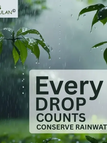 The simple act of rain falling on leaves is a reminder of nature's cycle. By conserving rainwater, we ensure this life-giving cycle continues to support us and the environment. Every drop truly counts.