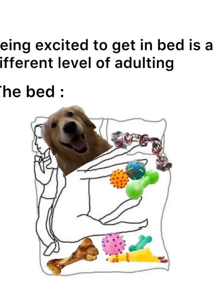 The excitement of getting into bed as an adult, only to find it's already occupied by your dog and their entire collection of toys.