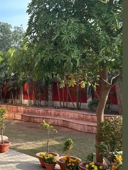 A view of the landscaped garden with its curved, tiered seating and a mix of potted plants and mature trees. We use landscape architecture to create functional and beautiful outdoor rooms.