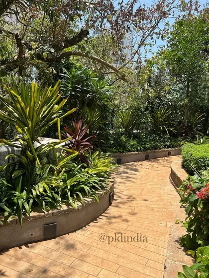 The curved path is bordered by colorful foliage, including red and yellow-green plants that add pops of color to the predominantly green landscape. This creates visual interest along the journey.