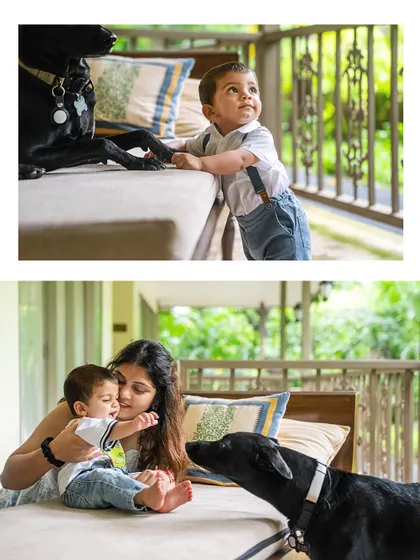 A collage showing a toddler and his black indie dog sharing curious and gentle moments on a porch.