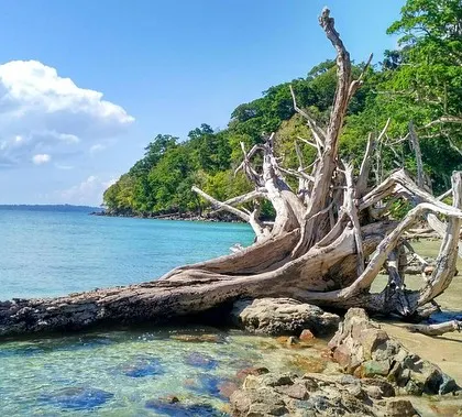 The Andamans are where lush rainforests meet pristine reefs. This is the view you get during our surface intervals. It’s a surreal experience, diving in crystal clear waters and then looking up at these dense, green islands.