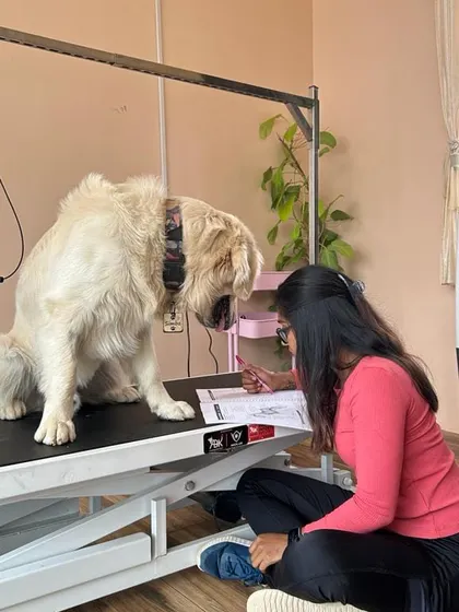 Simba making sure I'm doing my paperwork correctly. My clients are not just animals, they are partners in this process.