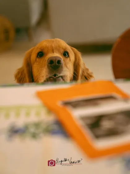 Grey's expression is priceless here. She seems to know something very important is happening.