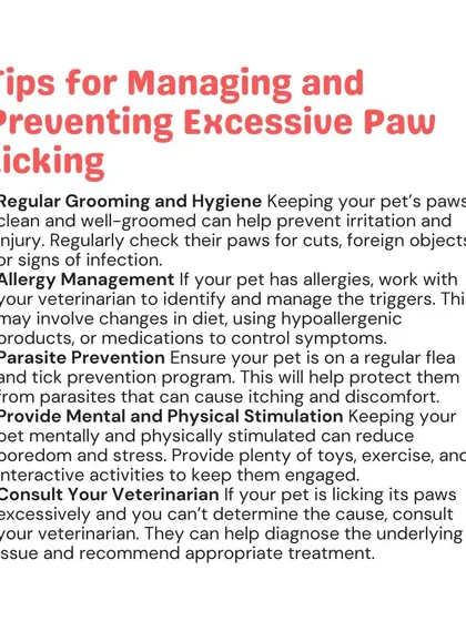 To manage paw licking, maintain good hygiene, work with a vet on allergy management, and ensure your pet is on a regular parasite prevention program. If the behavior continues, a vet consultation is crucial.