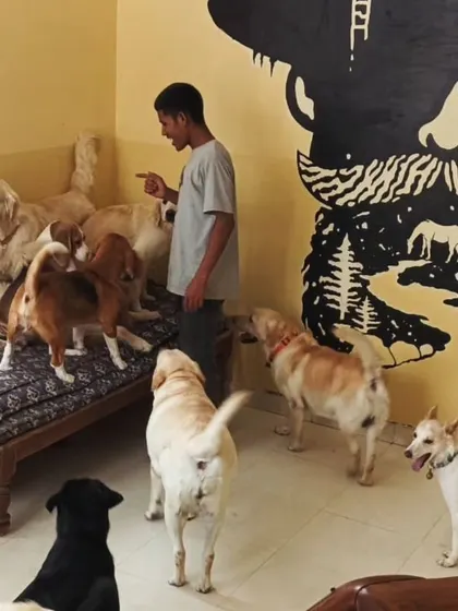 When you have a lot of love to share, everyone wants a piece of it.
