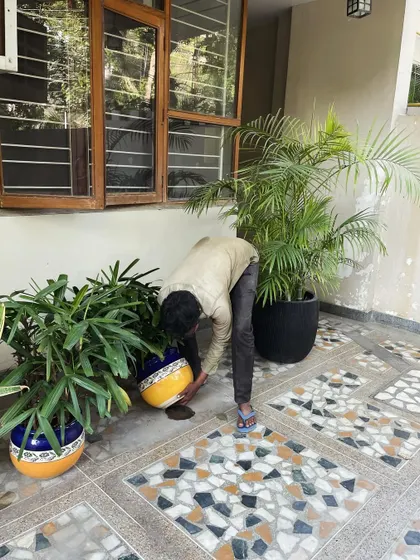 Postcards from a busy April. Here's my team member adjusting some ceramic pots on a beautifully tiled patio. It's chaotic, but we love what we do!