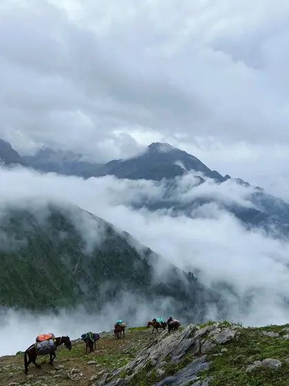 Mules carrying supplies make their way along a high mountain pass, with clouds filling the valley below. This shows the logistical support that makes these remote treks possible.